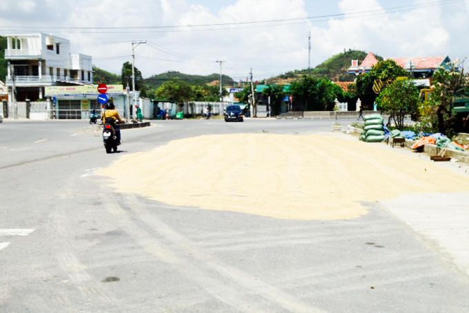 Phơi lúa chiếm lòng đường