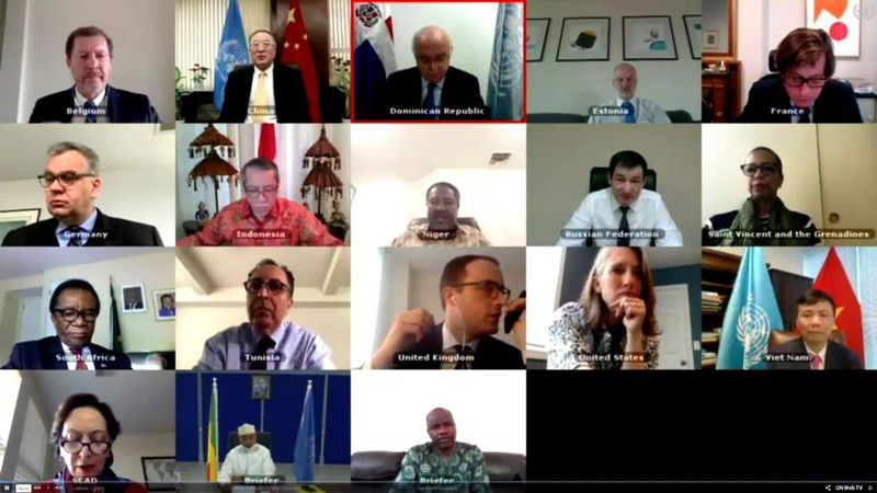 Hội đồng Bảo an thảo luận trực tuyến về tình hình Mali