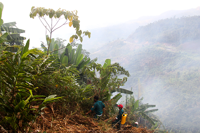 Khánh Vĩnh: Tăng cường công tác quản lý, bảo vệ rừng