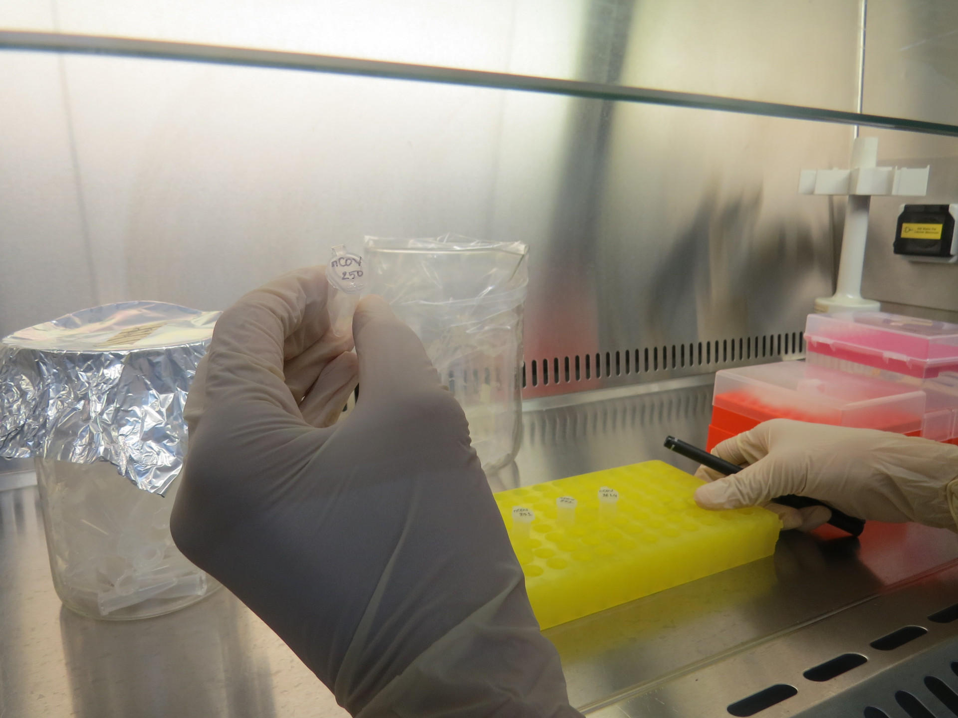 Xét nghiệm mẫu bệnh phẩm nghi ngờ nhiễm vi rút SARS-CoV-2 tại Viện Pasteur Nha Trang 