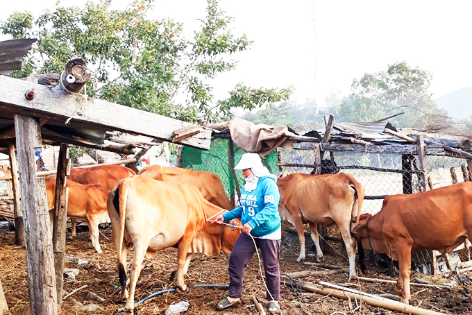 Một cán bộ phụ nữ Raglai giỏi