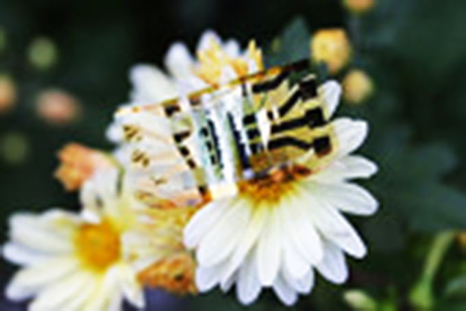 Smartwatch tương lai sẽ dùng pin năng lượng mặt trời siêu mỏng