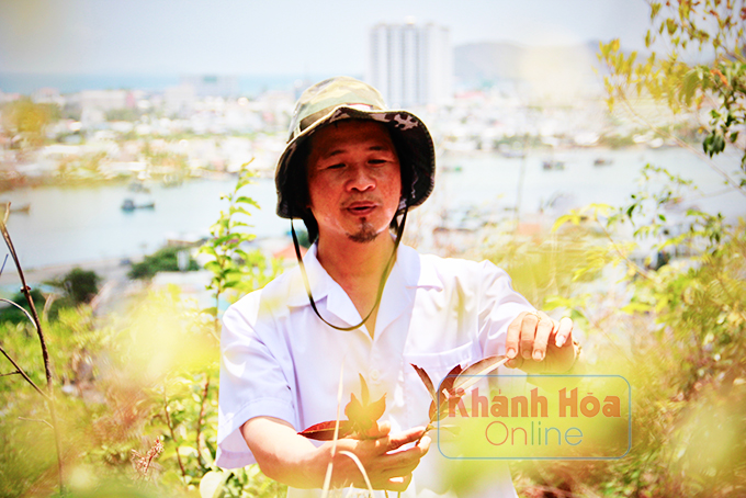 Gây nguồn thảo dược