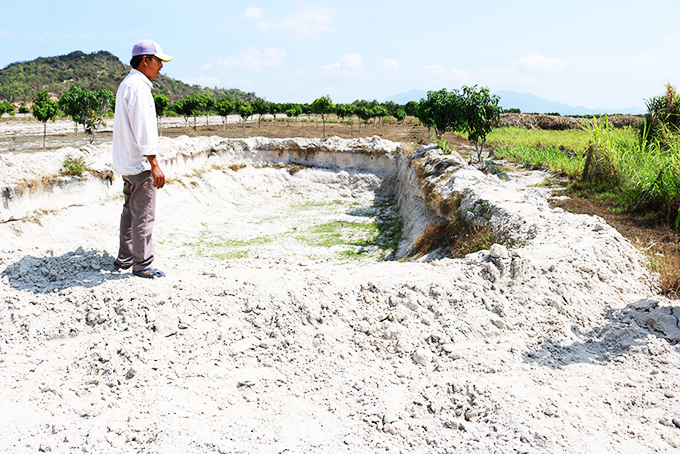 Cam Lâm: Tăng cường các giải pháp chống hạn