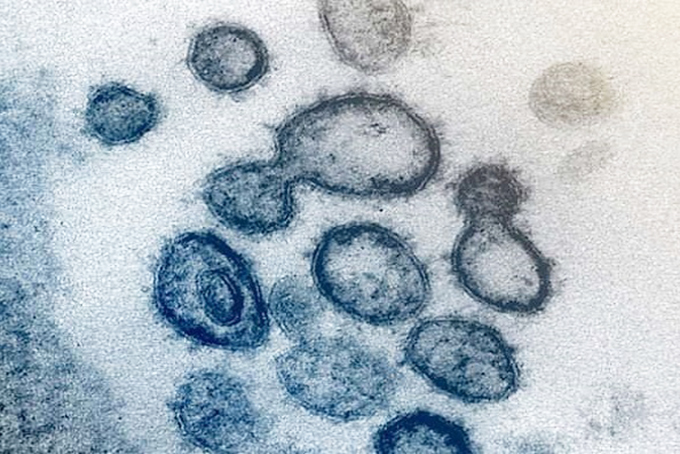 Ánh sáng mặt trời làm suy yếu nCoV