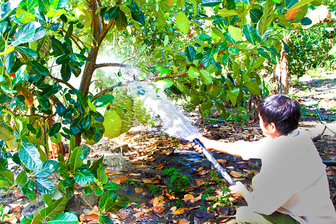 Khánh Vĩnh: Tập trung chống hạn