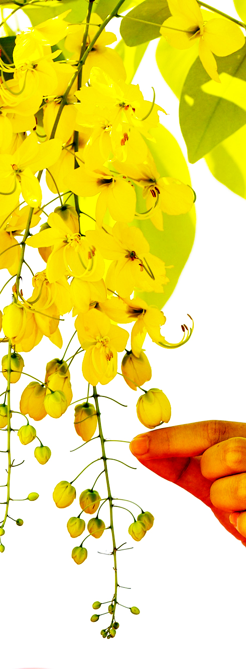 Hoài cảm tháng Tư