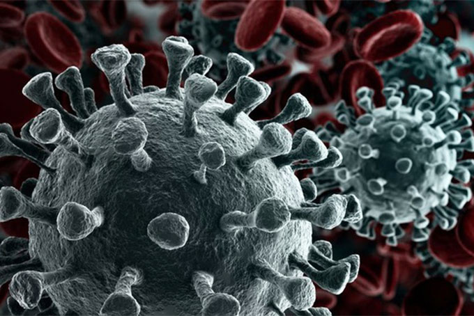 Nhiều quốc gia, bao gồm cả Ấn Độ, có các trường hợp lây nhiễm đầu tiên do virus corona  "tổ tiên " loại O từ Trung Quốc gây ra, nhưng theo thời gian, virus này đã đột biến để thích nghi và tiến hóa thành 10 chủng bổ sung. Ảnh minh họa: Shutterstock