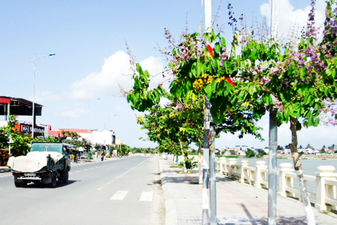 Biển báo bị che khuất