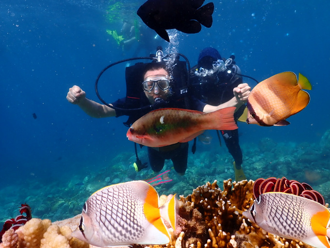 Khu bảo tồn biển Hòn Mun đón khách tham quan trở lại