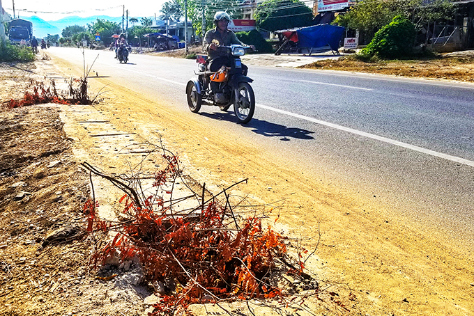 Nhiều nắp cống trên Quốc lộ 26 bị bể, sập gây nguy hiểm