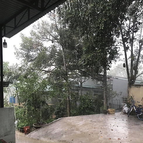 Mưa "vàng" giúp giảm hạn hán cho Khánh Sơn