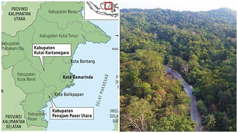 Khu vực đặt thủ đô mới của Indonesia tại đảo Kalimantan. (Nguồn: Tribunnews.com)