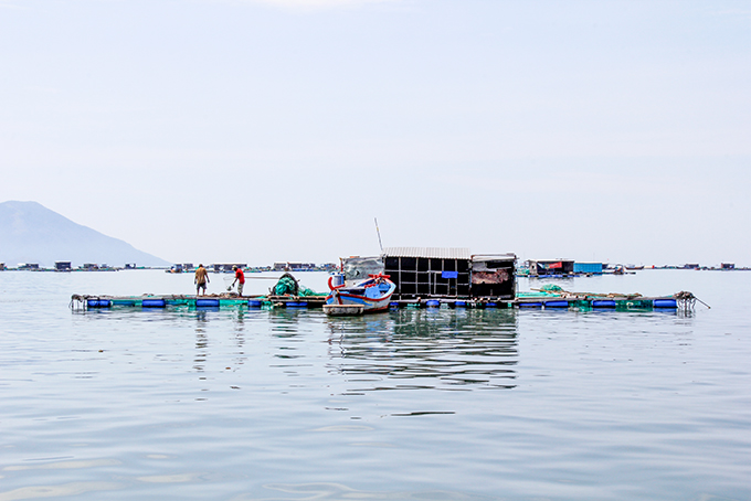 Bè nuôi trồng thủy sản được kéo sát bờ biển Vạn Giã.