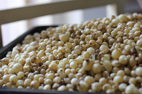 Hành tăm, gia vị tốt sức khỏe và làm được nhiều món ngon