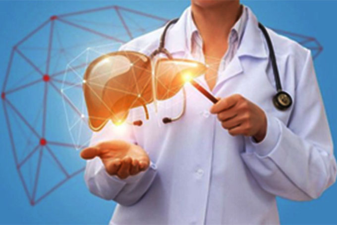 Lần đầu tiên thử nghiệm thành công tế bào gốc phôi điều trị bệnh gan