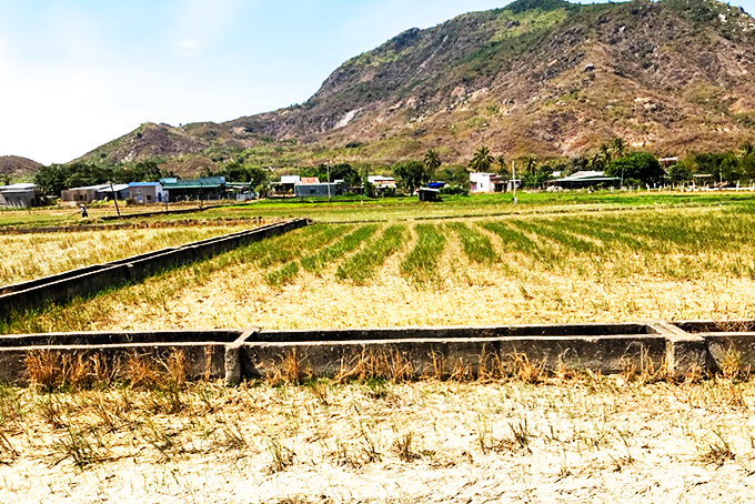 Nỗ lực đảm bảo nguồn nước cho sinh hoạt