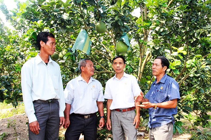 Hội Cựu chiến binh huyện Khánh Vĩnh: Giúp nhau phát triển kinh tế