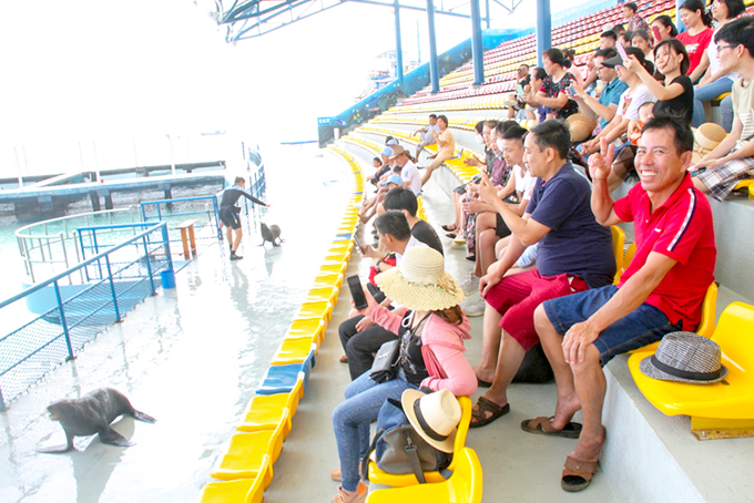 Visitors watching sea-dog circus at Vinpearl Land Nha Trang