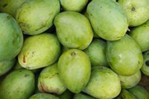 Những lợi ích cho sức khỏe từ xoài xanh mà bạn chưa biết