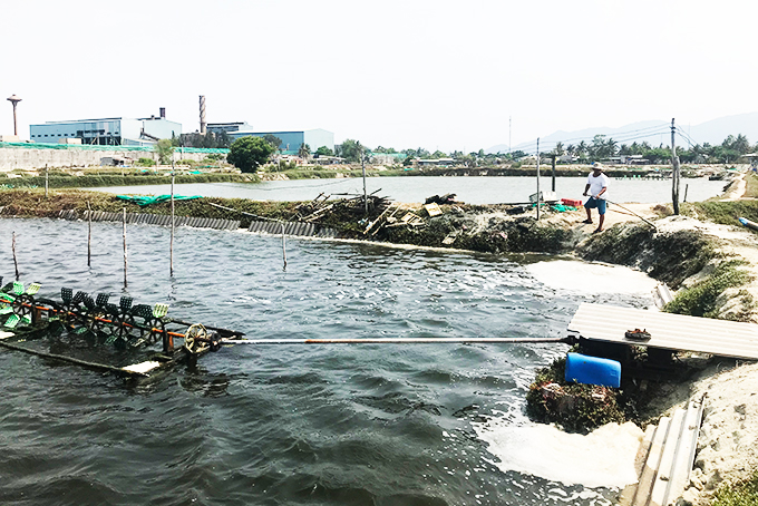 Người nuôi trồng thủy sản "treo ao"