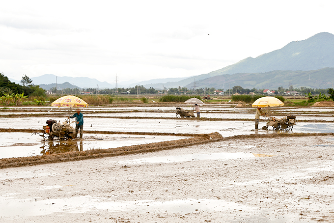 Triển khai các giải pháp cấp bách chống hạn