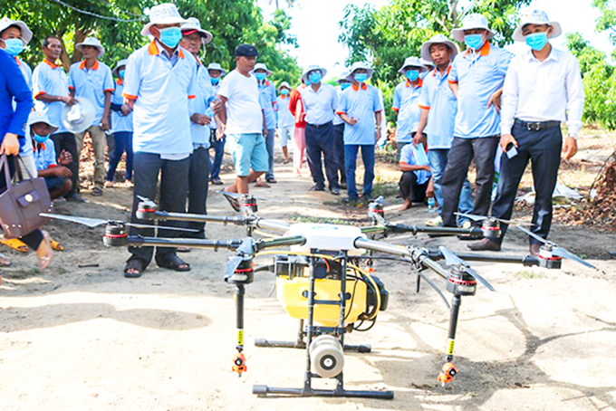 Nông dân huyện Cam Lâm quan sát  drone phun thuốc bảo vệ thực vật.