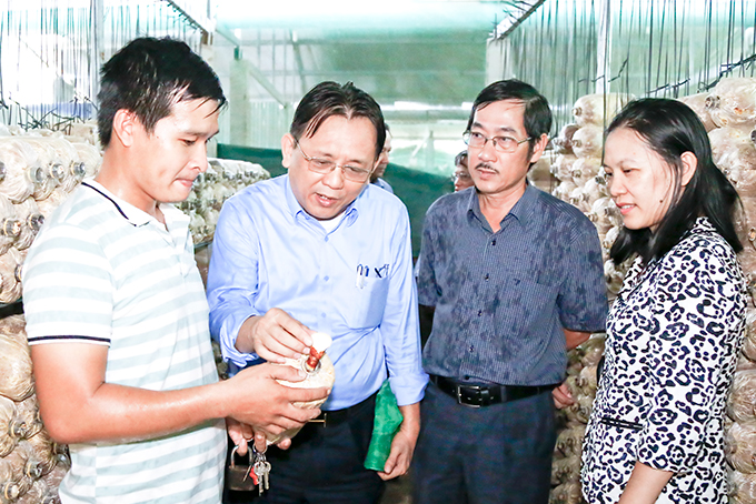 Đoàn khảo sát cơ sở sản xuất nấm linh chi tại Ninh Hòa.