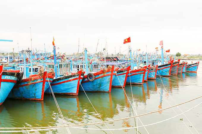 Tàu cá tại khu neo đậu phường Ninh Hải, Ninh Hòa. 