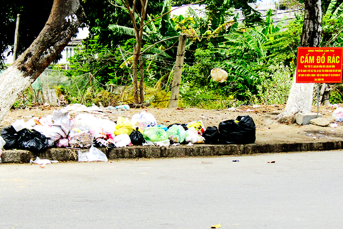 Cấm nhưng vẫn xả rác
