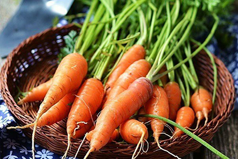 Ăn quá nhiều cà rốt có thể gây ngộ độc. Ảnh minh họa