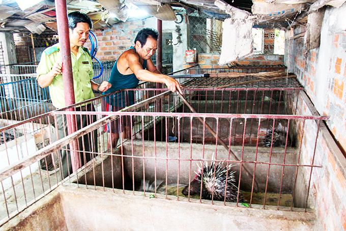 Thoái trào nghề nuôi động vật rừng thông thường