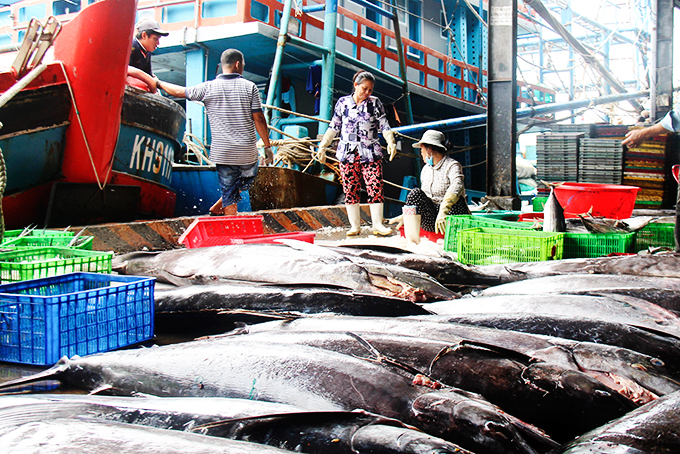 Ứng dụng tiến bộ kỹ thuật cho tàu cá