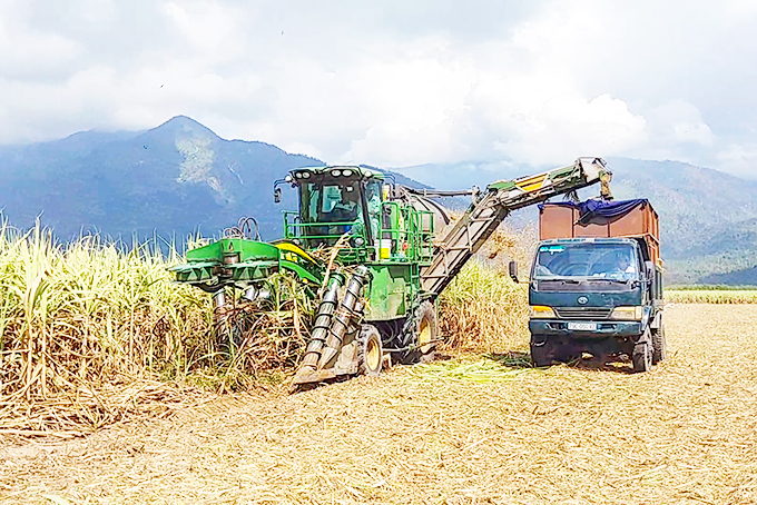 Tập trung tái cơ cấu cây trồng