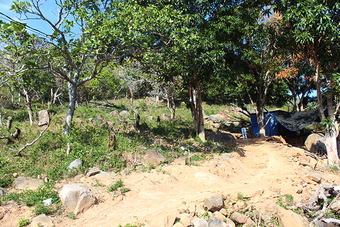 Việc khiếu nại UBND thành phố Nha Trang cấp nhầm sổ đỏ: Không có cơ sở giải quyết