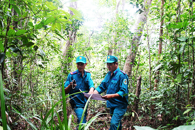 Lực lượng bảo vệ rừng chuyên trách của Công ty Lâm nghiệp Trầm Hương tuần tra, bảo vệ rừng khu vực giáp ranh với địa bàn huyện M’Đrắk. Ảnh: BKH