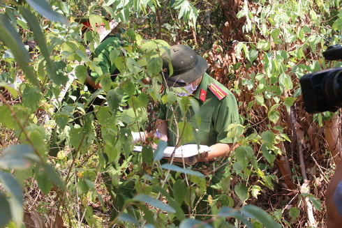 Phát hiện thi thể đang phân hủy trong rừng đầu nguồn Khánh Vĩnh