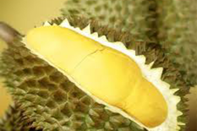 Hỗ trợ cung cấp tài liệu về tiêu thụ nông sản