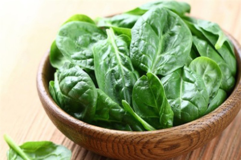 Các đối tượng này tuyệt đối không nên ăn rau mùng tơi