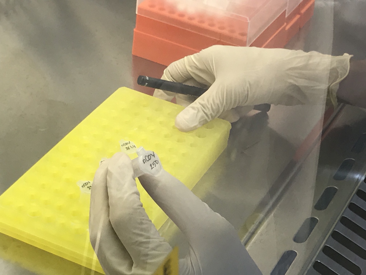 Xét nghiệm mẫu bệnh phẩm nghi ngờ Covid-19 tại Viện Pasteur Nha Trang