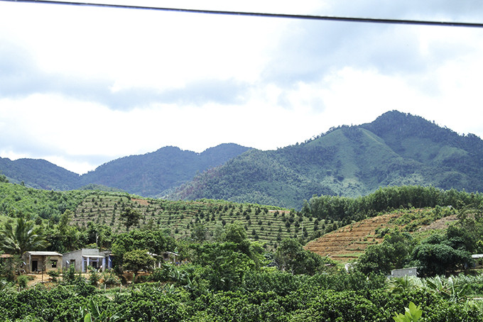 Người dân Khánh Sơn mong muốn ngành Điện đầu tư,  đưa điện về các khu vực trồng cây ăn quả.