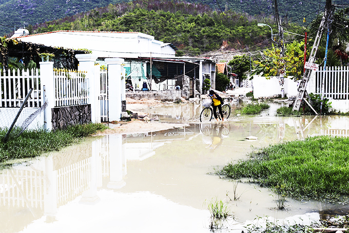 Xã Phước Đồng: Khổ vì cống thoát nước bị tắc