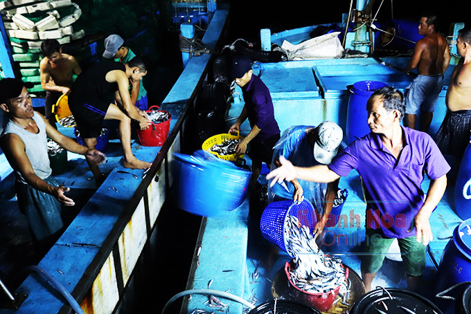  Cảnh mua bán nhộn nhịp trên biển Nha Trang giữa tàu đánh bắt và thuyền thu mua vào đêm khuya.