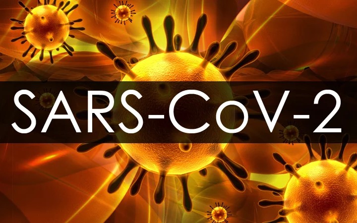 Hình ảnh virus SARS-CoV-2. Đồ họa: Medscape.