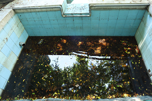 Một hồ chứa nước bị lá cây rụng vào, thối rửa, tiềm ẩn bệnh tật