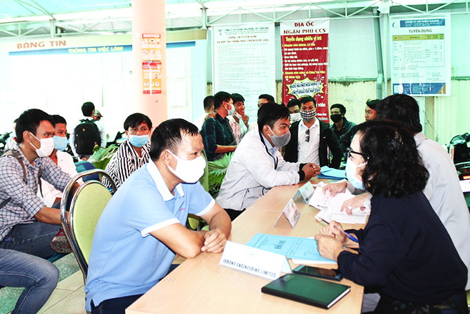 Thị trường tuyển dụng dần phục hồi