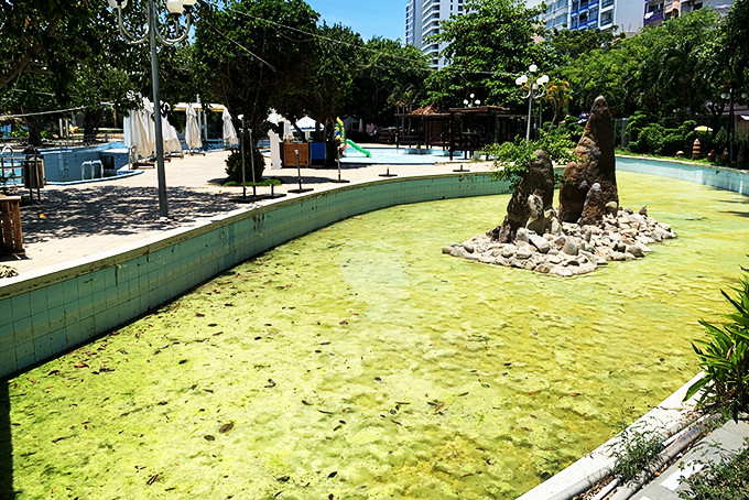 Khu vực hồ bơi ở Công viên Phù Đổng nổi rêu xanh. 