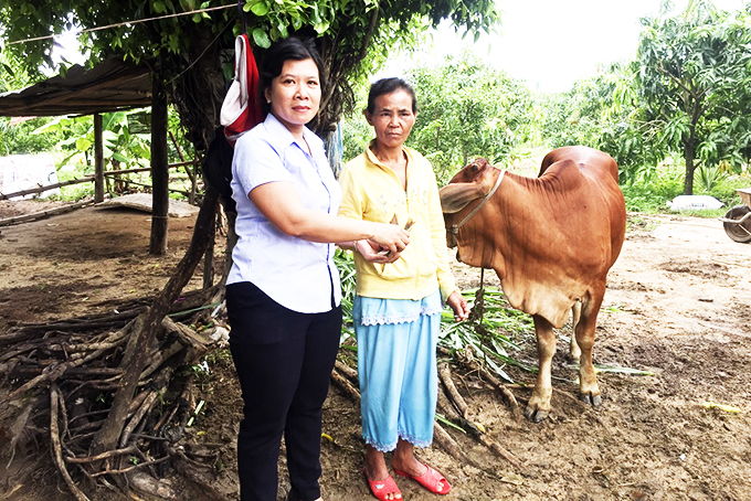 Trao 4 con bò giống cho phụ nữ nghèo người dân tộc thiểu số