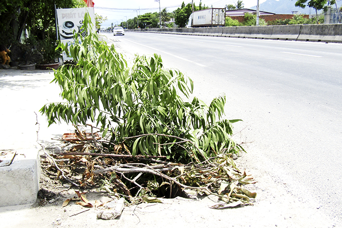 Hố trên lối đi