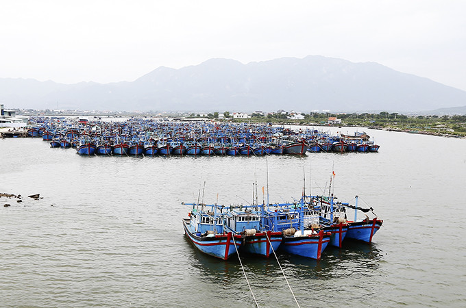 Khu neo đậu tàu thuyền tránh trú bão Ninh Hải, thị xã Ninh Hòa.